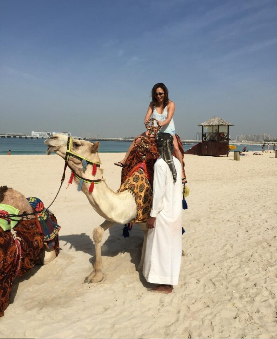 【12】『Arabian sea』優雅とは程遠い乗り心地