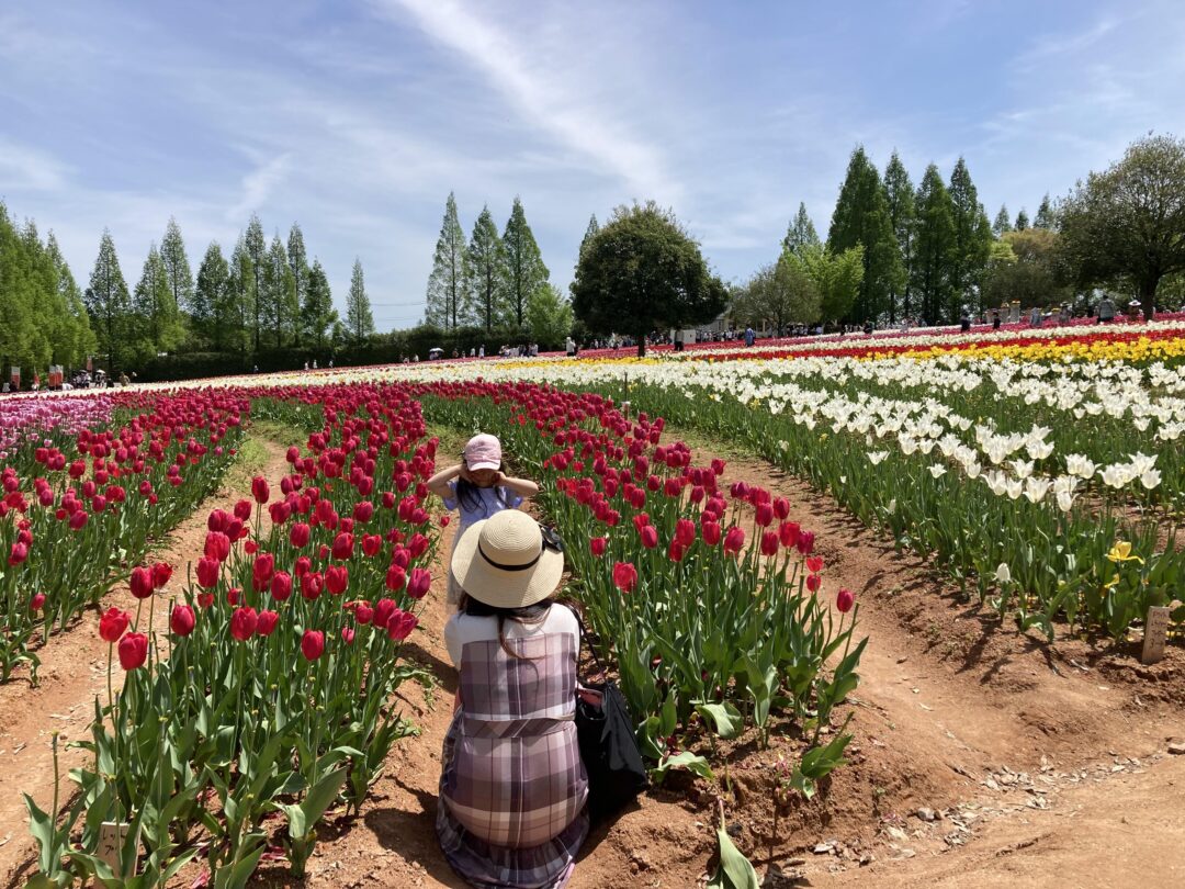 どっちが可愛い