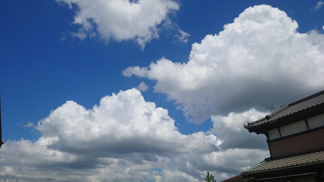 夏の空