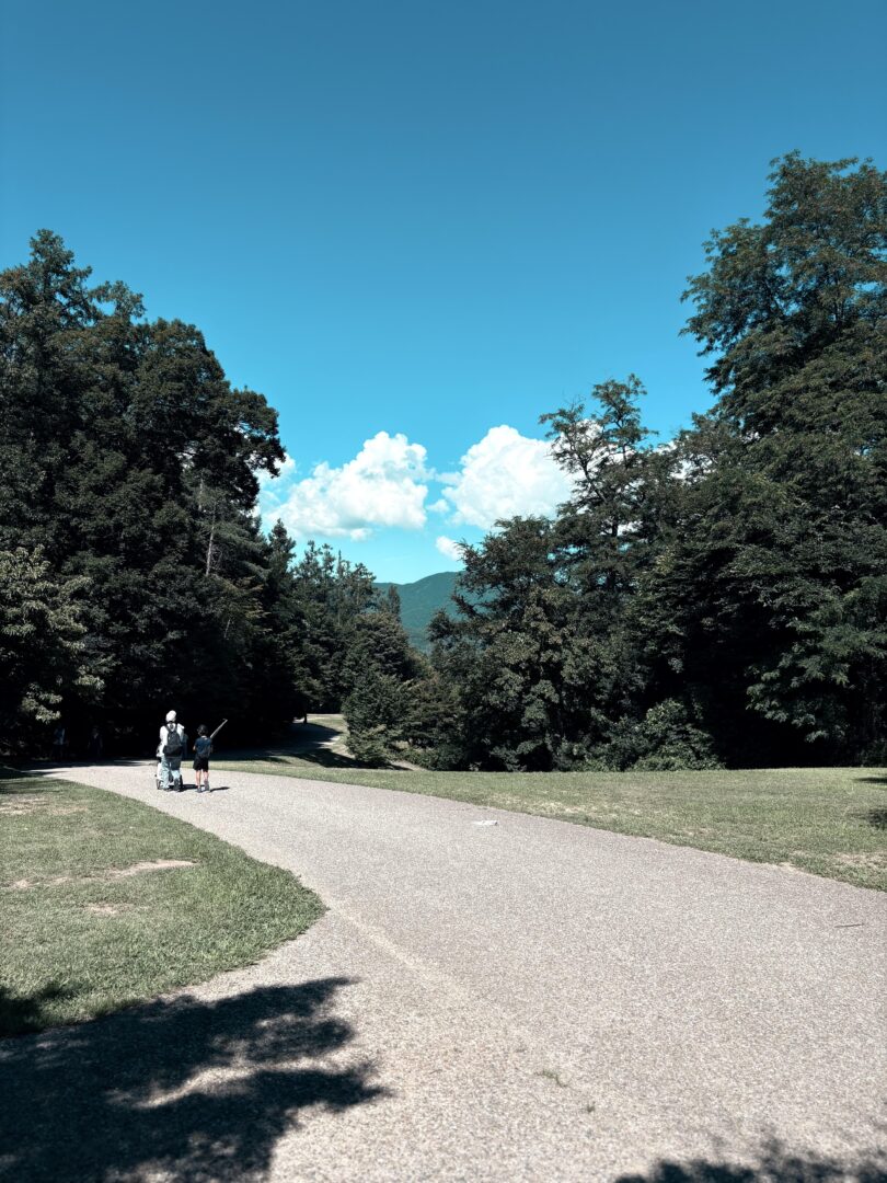夏は山もいい、森から見える夏空