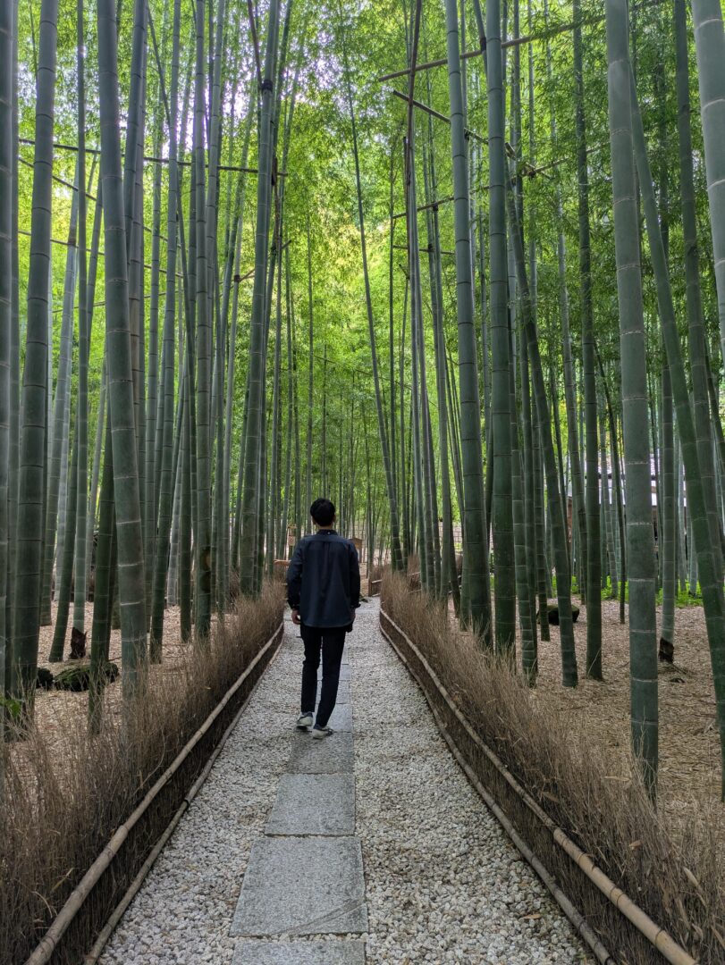 【2】『パーフェクト！』主人と鎌倉の報国寺へ... 竹林も主人も爽やかでパーフェクトでした(照れ)