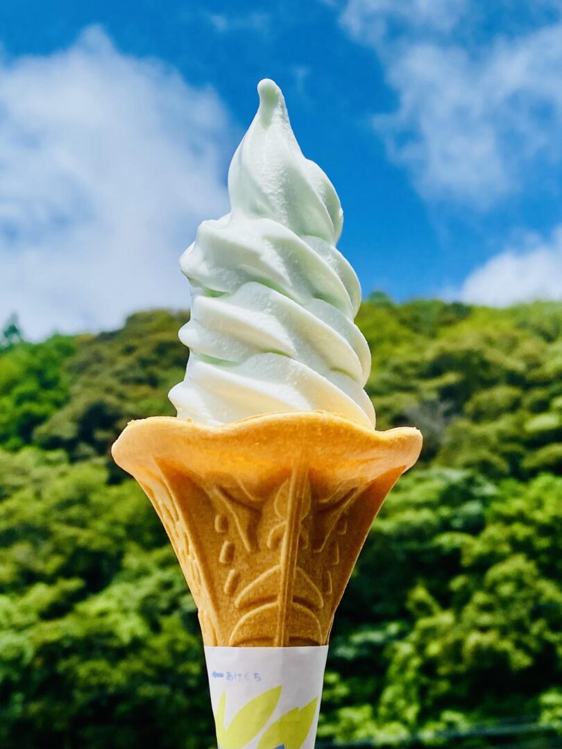 【17】『高知の塩ソフトクリーム！！』高知県の『道の駅なぶら土佐佐賀』で食べた塩ソフトクリームは絶品でした♪ 南国土佐の強い日差しで渇いた身体を一気に冷やしてくれました！！